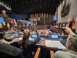 La Cámara de senadores de Bolivia aprobó ley para proteger a la niñez y adolescencia frente a delitos sexuales facilitados por entornos digitales